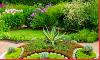 Kalpataru Advay Borivali West Garden